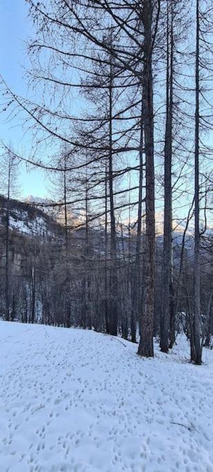 T2 à 5 Min à Pieds Des Pistes, Puy St Vincent 1700 *