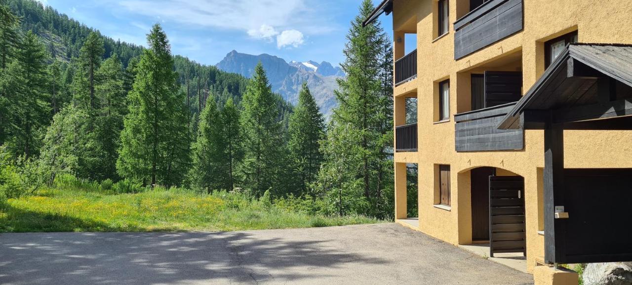 Appartement Puy-Saint-Vincent Apartment